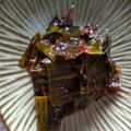 エミーシャ's cooksnap of when they made 昆布の出汁取りと昆布の佃煮.