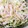 あさここなっつ's cooksnap of when they made 定番！もやしときゅうりの中華風サラダ.