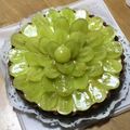 0221☆mama's cooksnap of when they made 水切りヨーグルトで☆チョコチーズタルト.