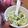 gkd's cooksnap of when they made 幼児食　パクパク食べるチーズリゾット.