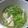 ちばたま's cooksnap of when they made シャキシャキ！上品な水菜のお吸い物☆.