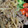 snow012's cooksnap of when they made 簡単✿牛丼ちゃん.