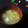 haruku221's cooksnap of when they made 豆腐とタマネギのお味噌汁.