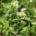ちゃぎー's cooksnap of when they made 即シーザーサラダ風.