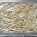 ぷらむ♪'s cooksnap of when they made もやし長持ち保存法☆水に漬けておくだけ☆.