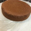 emicado's cooksnap of when they made ふわふわしっとり♡基本のココアスポンジ♬.