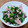 ポニーリボン's cooksnap of when they made 魚肉ソーセージとしめじのガーリック炒め.