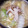 ﾋﾟﾛﾐ♡'s cooksnap of when they made 簡単　朝食　白菜　舞茸　油揚げの　味噌汁.