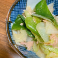 みーのむし”'s cooksnap of when they made ねぎとツナの甘辛炒め.