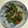 sakutakuhitoshu's cooksnap of when they made 【作り置き】ピーマンとえのきの中華炒め.
