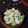 haruku221's cooksnap of when they made 数の子サラダ.