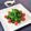 辰夫女子's cooksnap of when they made 菜の花とトマトの美肌サラダ.