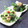 辰夫女子's cooksnap of when they made 菜の花の明太マヨネーズ和え.