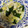 んりおか's cooksnap of when they made 白菜とわかめのにんにく炒め.