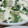 10non10's cooksnap of when they made 簡単！豆腐・きのこ・レタスの塩あん炒め.