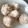 Yokchina's cooksnap of when they made ココナッツ香るにんじんのひとくちケーキ.
