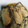ai32_ai32's cooksnap of when they made 牡蠣の白ワイン蒸し.