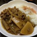 はなのかくめいじ's cooksnap of when they made 和風根菜カレー♪.
