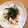 ♡まーちゃん♬'s cooksnap of when they made 長芋のとびっこあえ.