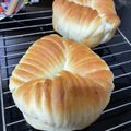 わかぞ～'s cooksnap of when they made ふかふかウールロールパン.
