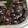 ゆじゅ１１５'s cooksnap of when they made 最速！！失敗なしの簡単黒豆煮　おせちに.