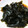 クックVOY1Q3☆'s cooksnap of when they made コリっしゃきっ取り立て生わかめの中華炒め.