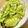 クックY3D88H☆'s cooksnap of when they made キャベツのオイスター炒め★5分で完成.