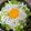 ぷーとんR's cooksnap of when they made 簡単しらす丼.