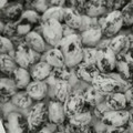 ぢょー's cooksnap of when they made お節の黒豆煮が余ったら、お菓子にリメイク.