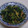 yu→mama's cooksnap of when they made 簡単！春菊のマヨ炒め.