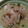 ぴよぴ～よぴよひこ's cooksnap of when they made 簡単☆塩たらの酒蒸し.