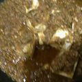 クックV8GXUG☆'s cooksnap of when they made 白菜でかさましトロトロ麻婆豆腐.