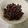wasasan's cooksnap of when they made レーズンの油抜きの方法.