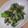 きらり流れ星's cooksnap of when they made 大豆のお肉で中華風野菜炒め.
