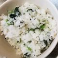 料理初心者あぃ☆'s cooksnap of when they made 名古屋飯、菜飯.