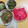 よちりん's cooksnap of when they made 下漬け不要 簡単 赤カブの甘酢漬け.