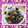 ゆけり３兄弟's cooksnap of when they made 常備菜♪大豆、こんにゃく、ひじきの煮物.