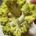 toshio39's cooksnap of when they made ロマネスコの切り方〜パスタまで.