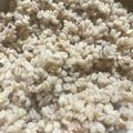 大吉母's cooksnap of when they made 黄金比✨もち麦の茹で方.