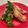 クックLDX6TD☆'s cooksnap of when they made オータムポエムの肉巻き.