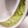 nikkijamie's cooksnap of when they made 家にあるもので‼︎野菜の水切り.
