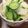 0720まま's cooksnap of when they made 早く漬かる白菜の漬物.