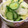 0720まま's cooksnap of when they made 早く漬かる白菜の漬物.