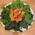 Kazu2323's cooksnap of when they made サーモンのハニーマスタードサラダ。.