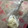 siomamakam's cooksnap of when they made 干ぴょうの戻し方.