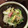 へのへのもへの's cooksnap of when they made 10分超簡単　うま白菜とベーコンの炒め物.