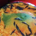 もものkitchen's cooksnap of when they made 痛風対策！たっぷり海藻の味噌汁.