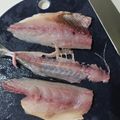 tamago大好き's cooksnap of when they made アジの三枚おろし♪.