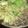 ふんにゃん's cooksnap of when they made 牛肉ハリハリ鍋 簡単で早くて美味しい♡.
