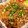 メソコ's cooksnap of when they made 簡単！うまい！もやし挽き肉丼.